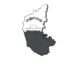 Partner institution